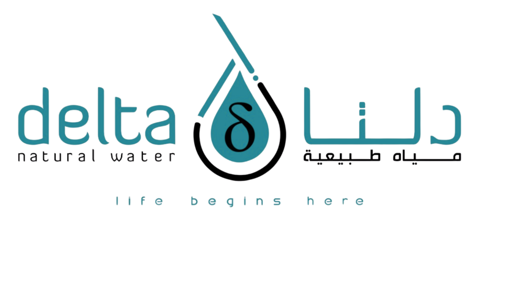 Delta Natural Water Logo
